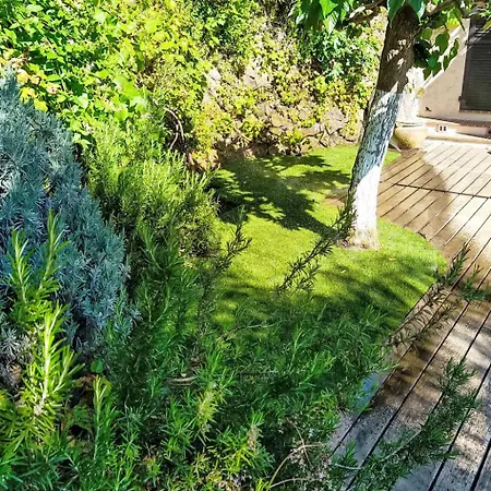 50 By Interhome Semesterbostad